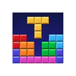 block puzzle daily android application logo